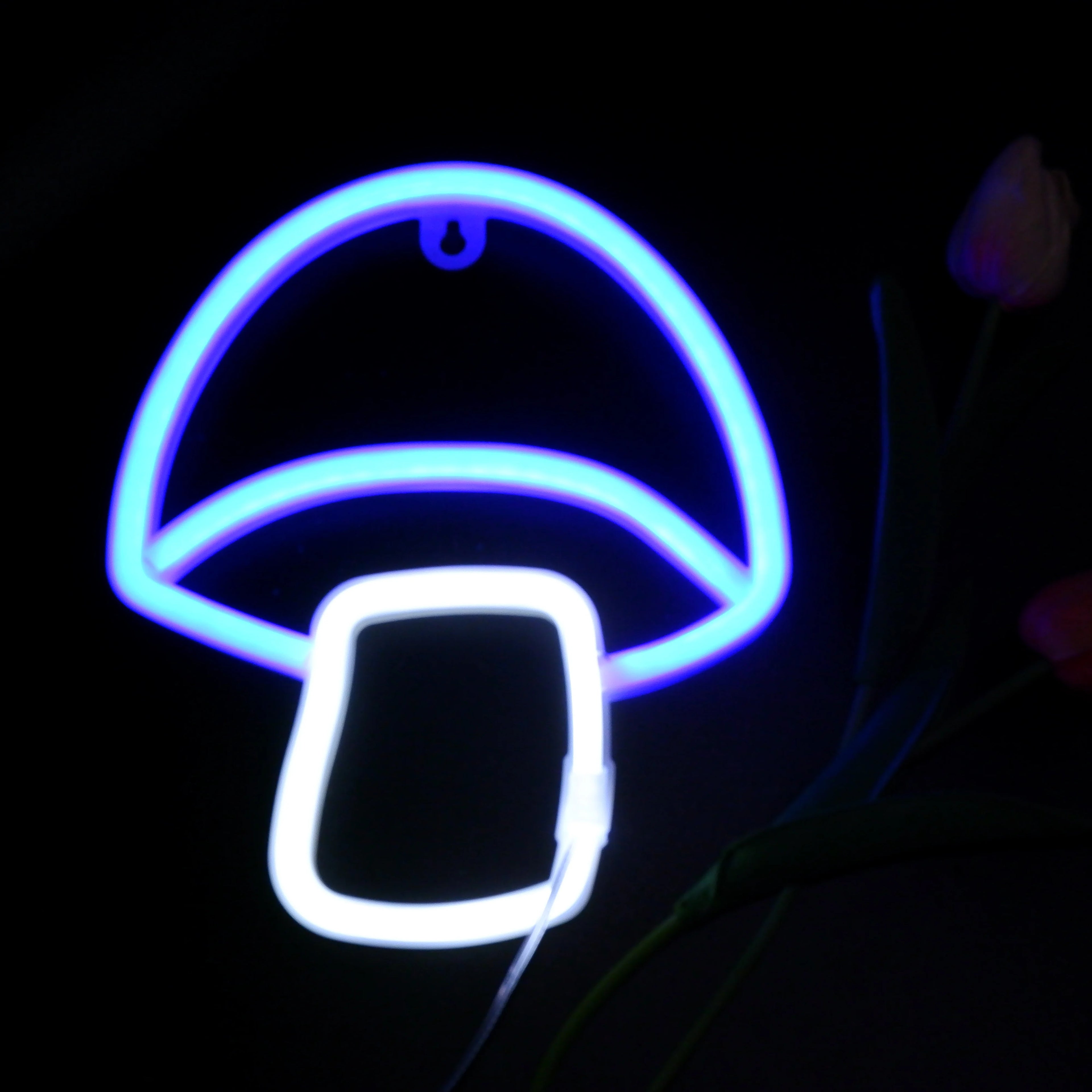 Custom LED Neon Signs | USB & Battery Powered Wall Decor